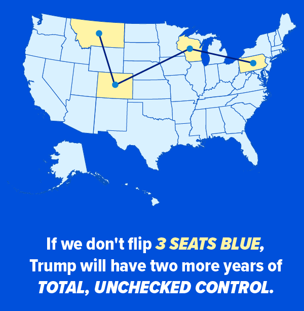 If we don't flip 3 seats blue, Trump whill have two more years of total, unchecked control.