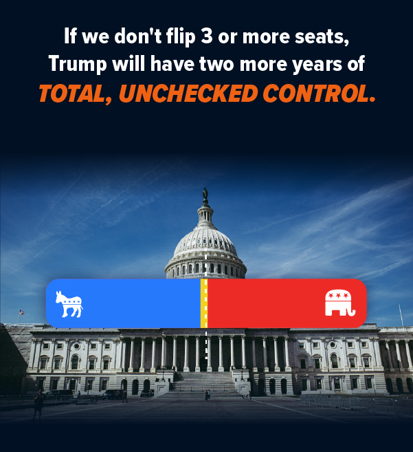 If we don't flip 3 or more seats, Trump will have two more years of TOTAL, UNCHECKED control.